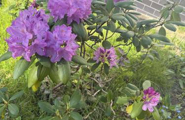 Dom całoroczny, Krzeszna - Foto 9