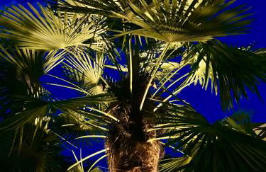 - Zuhause im Weilerblick - - Foto 45