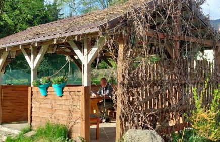 Smrek Sokolec Agroturystyka - Foto 29