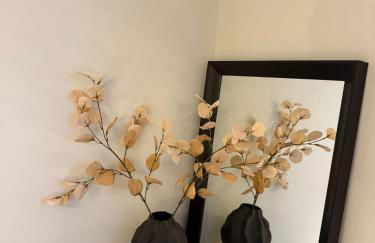 West Greenwich Modern Apartment - Foto 9