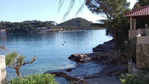 Studio apartment Dragana - Foto 5