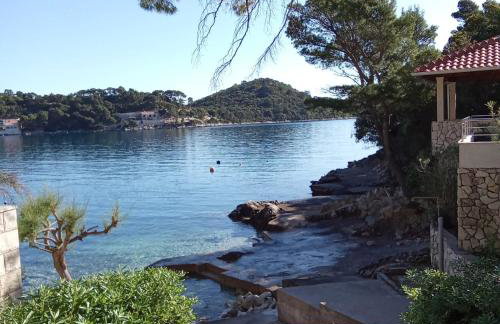 Studio apartment Dragana - Foto 5