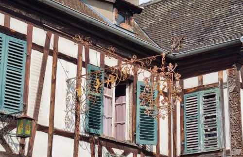 Nid douillet au cœur du vignoble alsacien - Foto 14