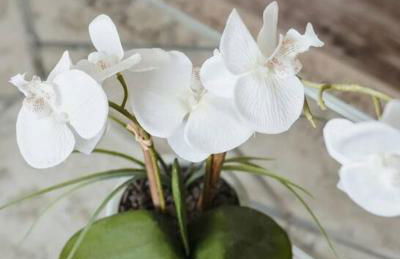 Casa Italia -2BR- FREE Driveway parking for 2 cars - Foto 19