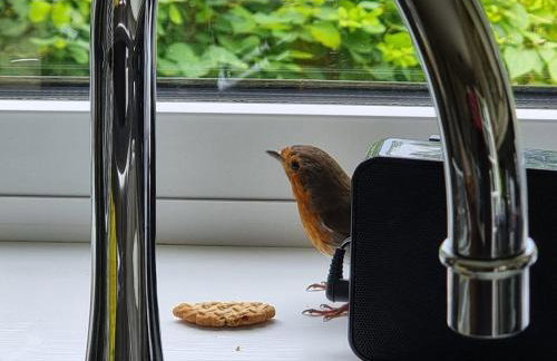 Cosy Cottage overlooking the Teifi Gorge - Foto 43