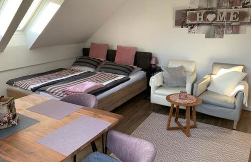 Ferienland Sonnenwald Fewo 46 und Studio 50 in Schöfweg Bayerischer Wald - Foto 11