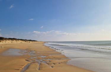 Maison typique 6 couchages oleronaise au cœur de l'île d'oleron - Foto 20