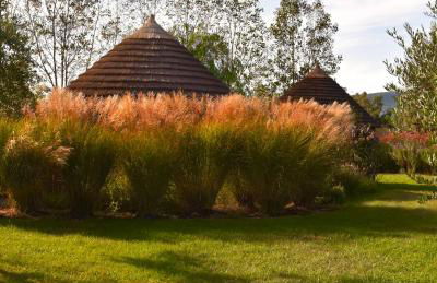 Is Cheas wine farm boutique hotel - Foto 78