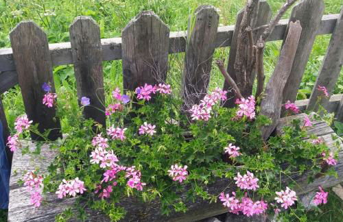 Ferienwohnung Winklerhof - Foto 9