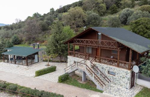 ktima Tzouros - Κτήμα Τζούρος - Foto 21