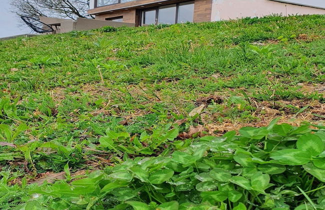 Villa Melani - Foto 36