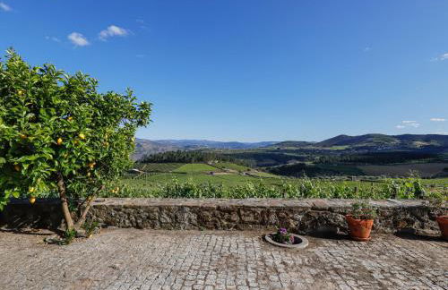 Quinta Soutelinho - Photo 48