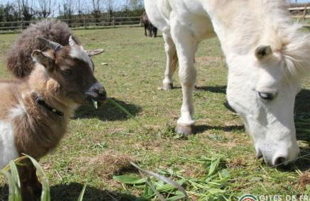 Domaine de Kerantroad - Foto 51