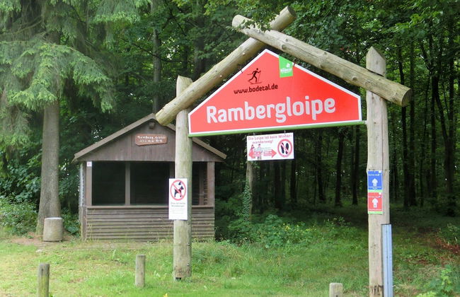 Cosy Holiday Home in Güntersberge Harz With Wood Stove & 2 Terraces - Foto 41