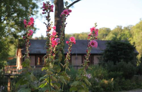 Chalet Forsthof Everstorf - Foto 15