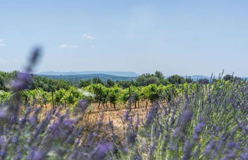 Mas provençal vue sur les vignes & Sainte-Victoire - Foto 16