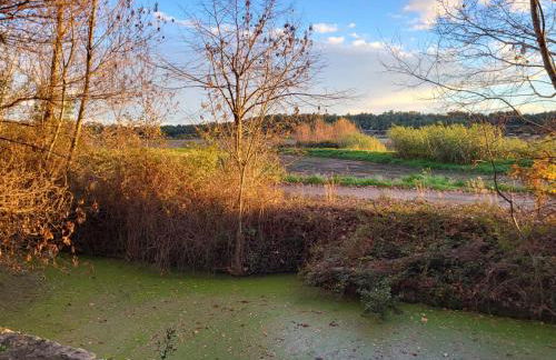 Château de Livière - Photo 22