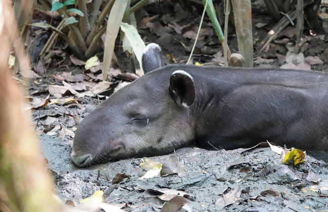 Maze Lodge - Photo 43