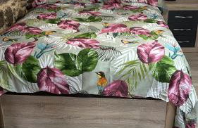 Carballo Alenza,2 - Foto 10