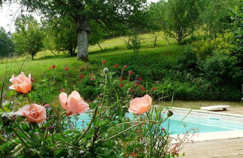 vallee du lot - Foto 13