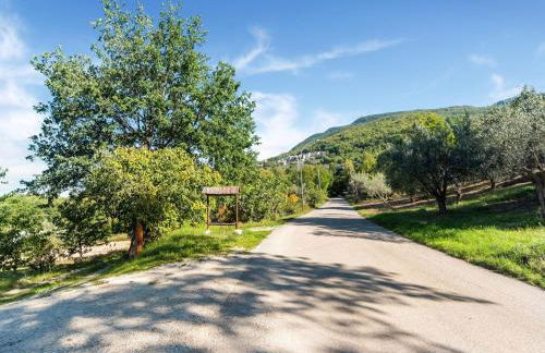 Cottage in Bomba near Lake Bomba - Foto 32