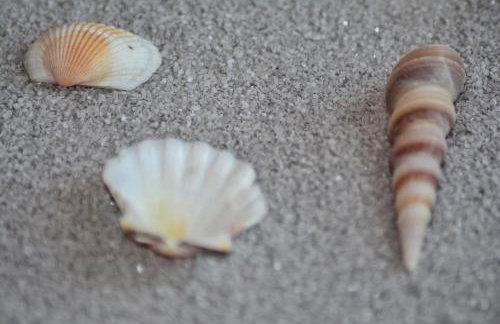 Apartment Nadoveza - Foto 21