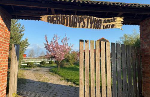 Babie Lato - Foto 14