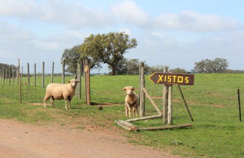 Agroturismo Xistos - Foto 20