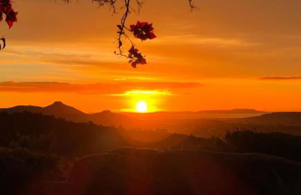Tiny House du Mas de la Calabro - Foto 10