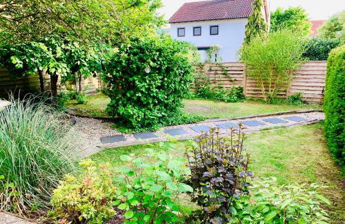 An der Uniklinik, Apartment mit eigener Küche und renoviertem Badezimmer, Zentrale Lage - Photo 3