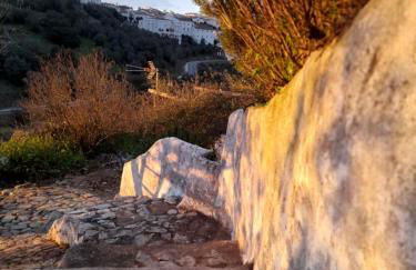 Olive -Casa da Boavista - Foto 23