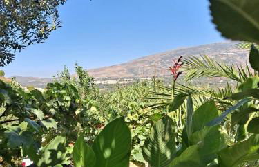 Casas Amaro - Foto 29