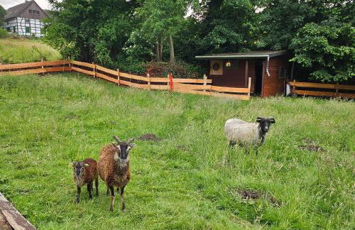 Souterrainwohnung im Grünen - Foto 3