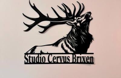 Studio Cervus with BrixenCard - Foto 19
