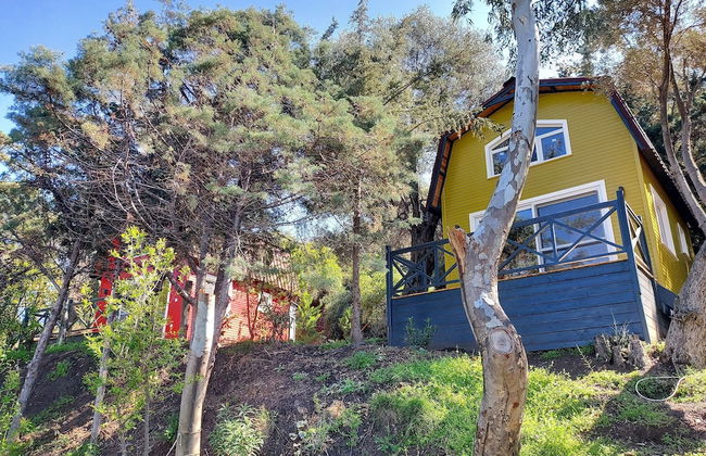 Sole Foca ( Ages 12+ ) - Foto 60