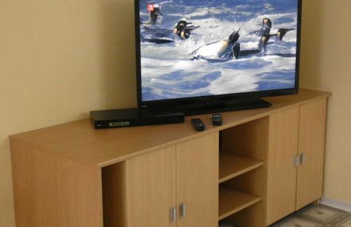 Goldener Fuchs in Moschendorf - Foto 29