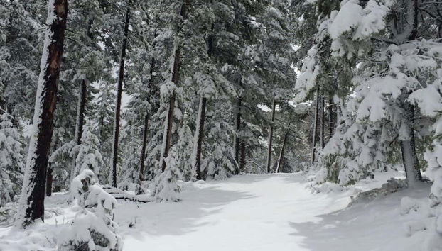 Paisaje nevado de las Montañas Rocosas