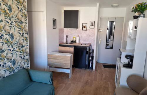 Appartement T2 proche gare et centre ville - Foto 5
