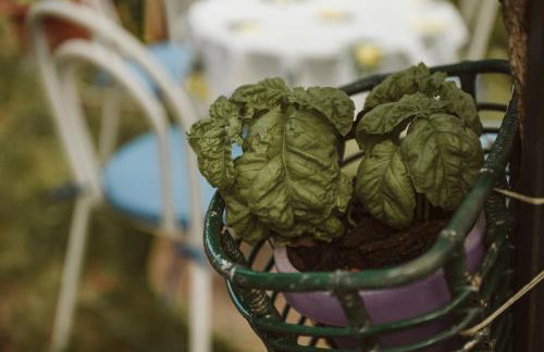 Casa Vacanze Rosy "Nel Verde" - Photo 29