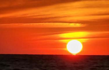 Largo, Fl Heated Pool 2 miles from Indian Rocks Beach Pets - Foto 50