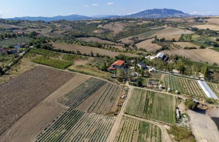 Bio Fattoria Mula D'Oro - biofattoriamuladoro it - Organic Food, Nature & Relax - Foto 32