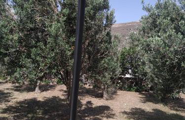 Ακροδεα - Photo 23