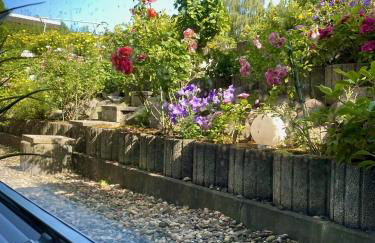 FeWo Studio 'Ein Bett im Kornfeld', Küche, 30qm, Souterrain - Foto 11