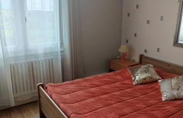 Le lac, la neige,la vue - Foto 11