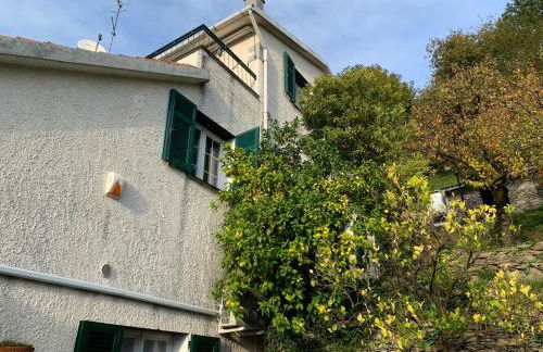 Il Giardino di Piero - LT-0029 - Foto 58