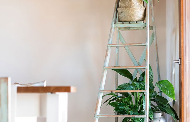 Agriturismo da Zeffi - Foto 58