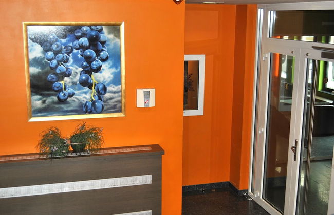 Wellness Apart Hotel - Foto 2