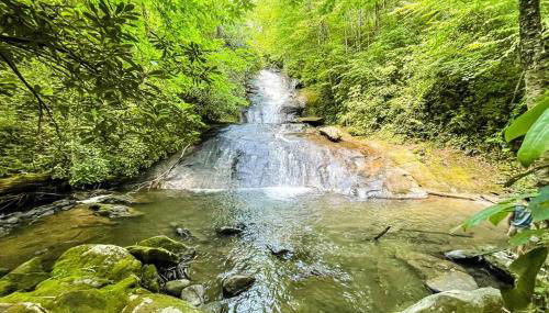 NEW FOREST COTTAGE W/GRILL & DECK:HIKE, FISH, GOLF - Foto 4