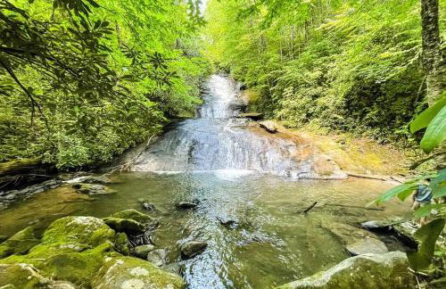 NEW FOREST COTTAGE W/GRILL & DECK:HIKE, FISH, GOLF - Foto 4