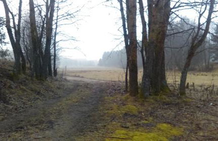 Agroturystyka Sominy - Foto 46